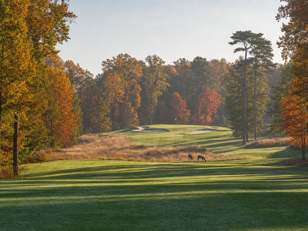Morning light on a tree-lined parkland fairway